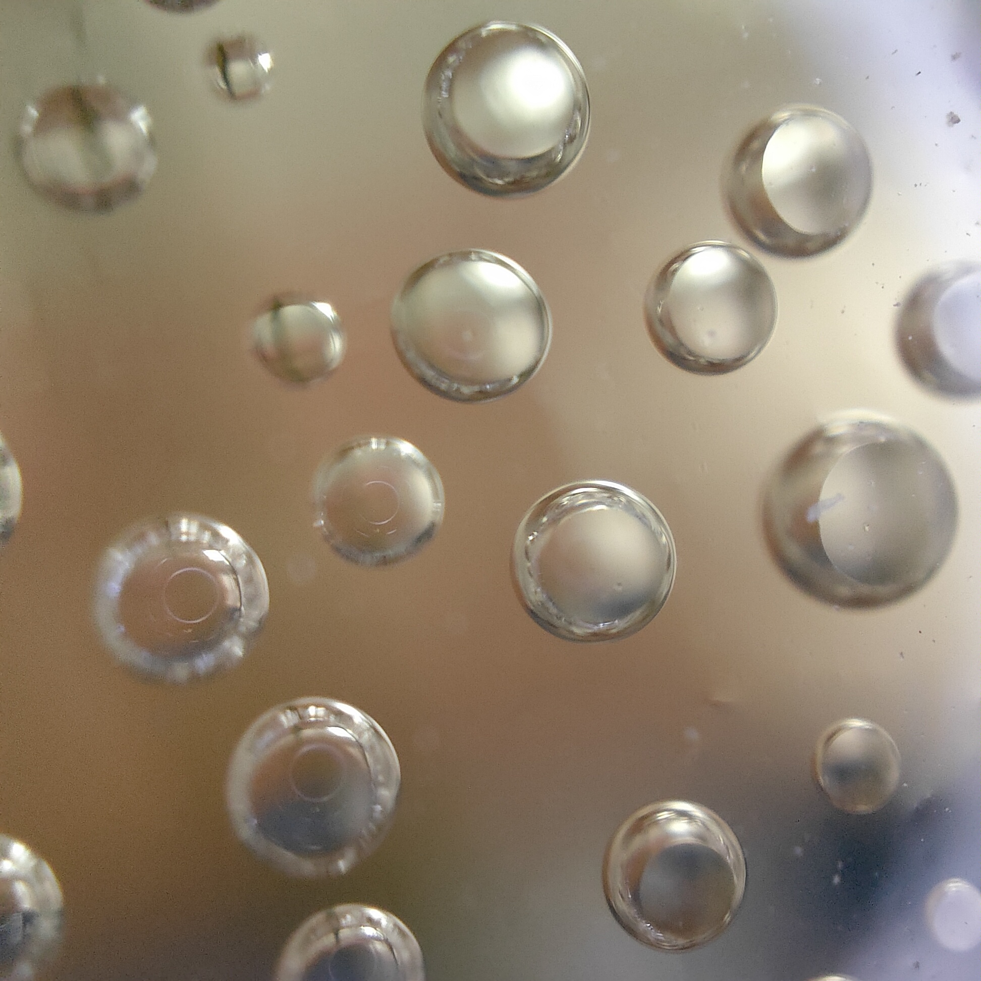 Giọt nước trên chai nước